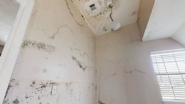 Best Indoor Air Quality Assessment  in Mission, SD