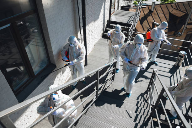 Best Basement Mold Removal  in Mission, SD