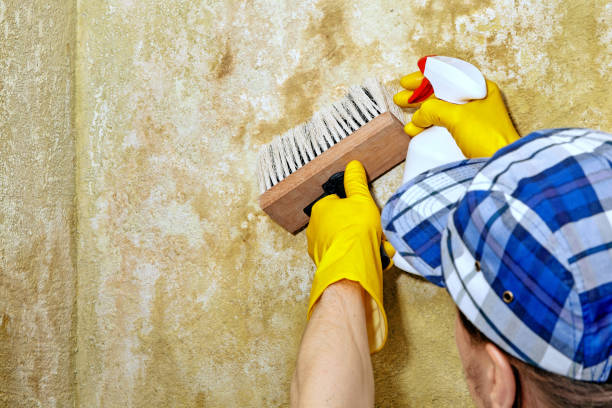 Asbestos and Lead Testing During Mold Inspection in Mission, SD