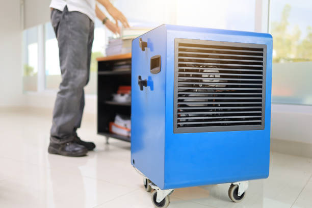 Best Attic Mold Removal  in Mission, SD