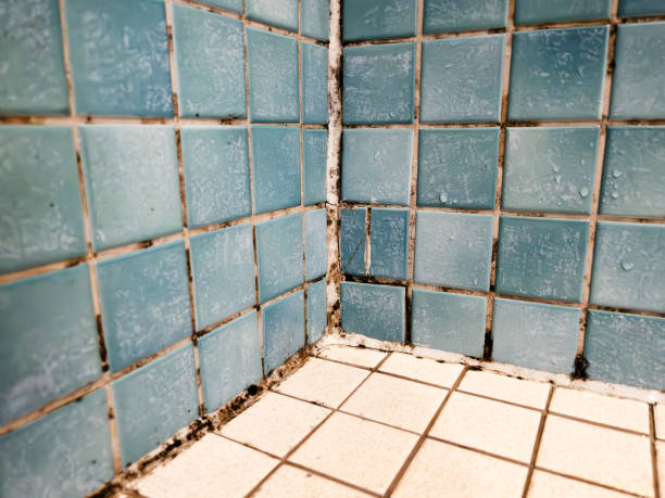 Best Comprehensive Air Testing for Mold Contaminants  in Mission, SD