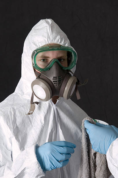 Best Black Mold Removal  in Mission, SD